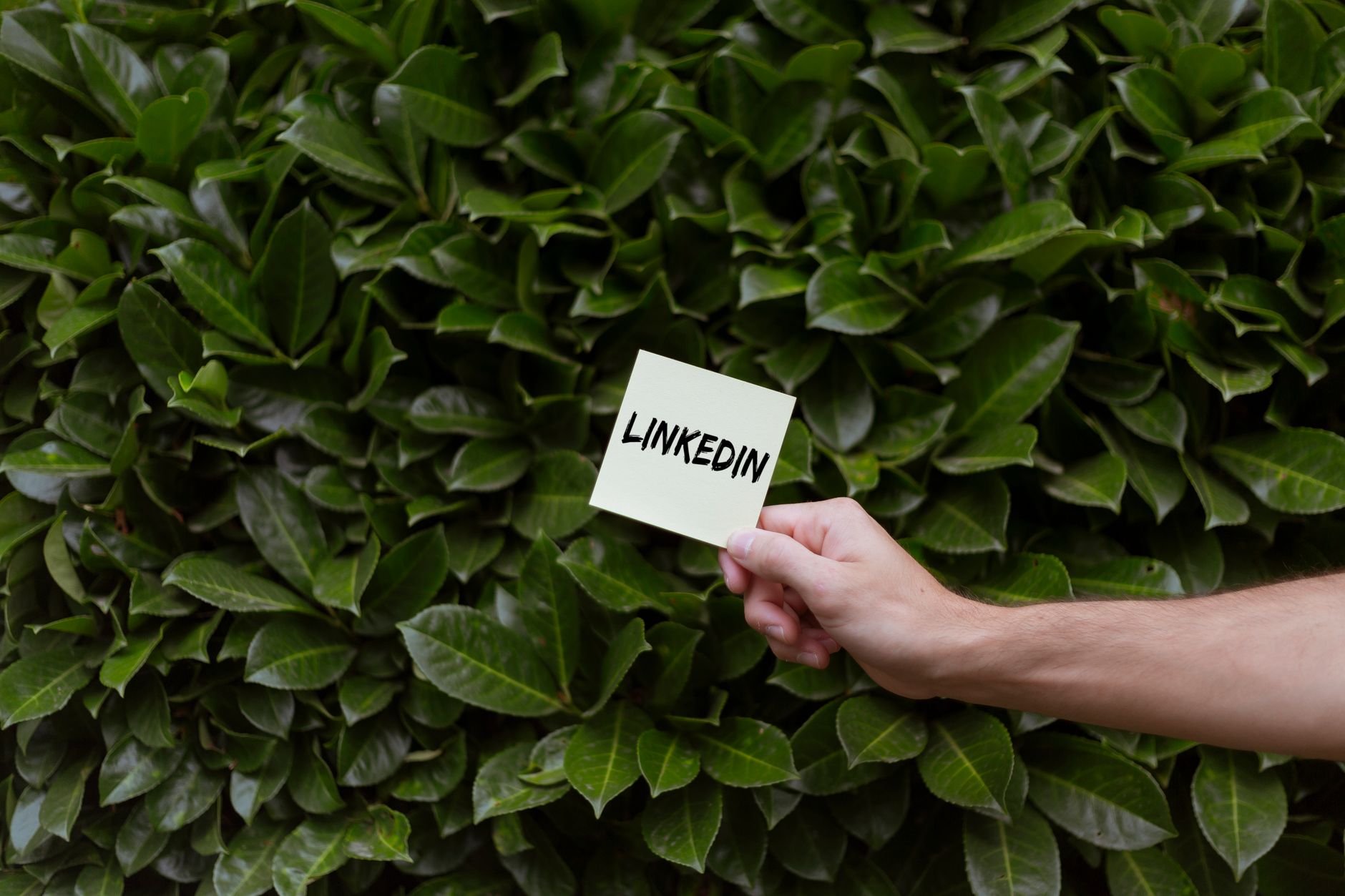Supergrow vs other tools for consistent B2B posting on LinkedIn